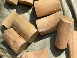 Shwe Sandalwood_နံ့သာဖြူ