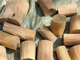 Shwe Sandalwood_နံ့သာဖြူ