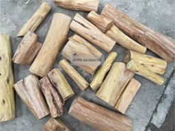 Shwe Sandalwood_နံ့သာဖြူ