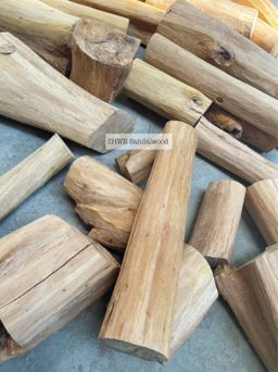 Shwe Sandalwood_နံ့သာဖြူ