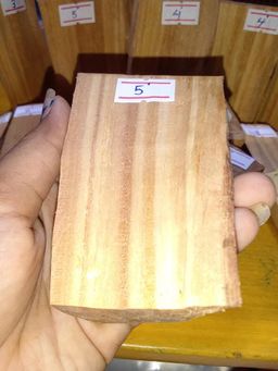 Shwe Sandalwood_နံ့သာဖြူ