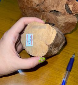 Shwe Sandalwood_နံ့သာဖြူ