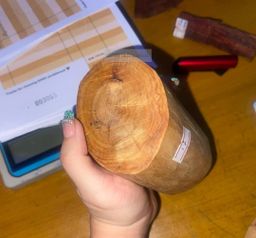 Shwe Sandalwood_နံ့သာဖြူ