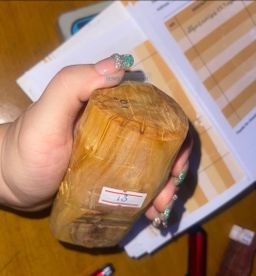 Shwe Sandalwood_နံ့သာဖြူ