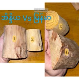 Shwe Sandalwood_နံ့သာဖြူ