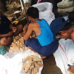 Shwe Sandalwood_နံ့သာဖြူ