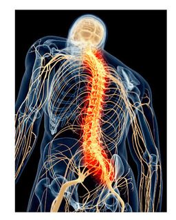 FLEXING HERBAL SPRAY