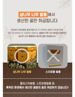 양화봉 꿀스틱12g 30개 ×3박스