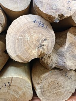 Shwe Nathar_သြစတေးလျ တောင်နံကတိုး