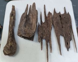 Shwe Nathar_သစ်မွှေး 