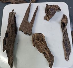 Shwe Nathar_သစ်မွှေး 