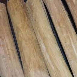 Shwe Nathar_အိန္ဒိယ နံ့သာဖြူ