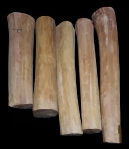 Shwe Nathar_အိန္ဒိယ နံ့သာဖြူ