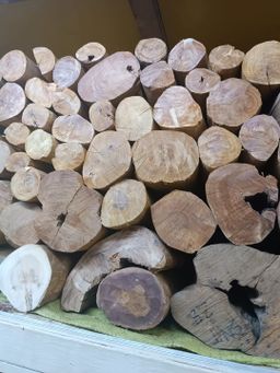 Shwe Nathar_အိန္ဒိယ နံ့သာဖြူ