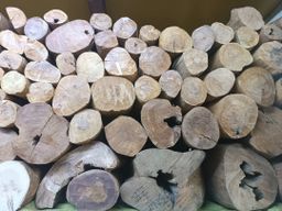 Shwe Nathar_အိန္ဒိယ နံ့သာဖြူ