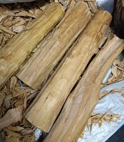 Shwe Nathar_အိန္ဒိယ နံ့သာဖြူ