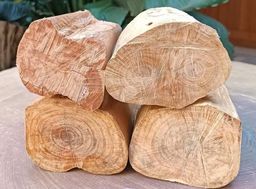 Shwe Nathar_အိန္ဒိယ နံ့သာဖြူ