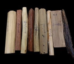 Shwe Nathar_နံ့သာကိုးပါး Collection 