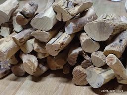 Shwe Nathar_သြစတေးလျ တောင်နံကတိုး