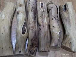 Shwe Nathar_သြစတေးလျ တောင်နံကတိုး