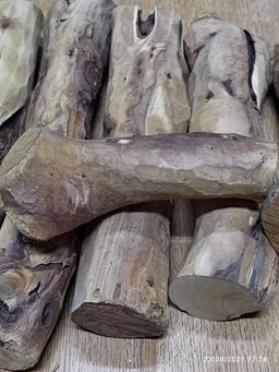 Shwe Nathar_သြစတေးလျ တောင်နံကတိုး