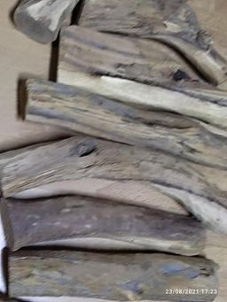 Shwe Nathar_သြစတေးလျ တောင်နံကတိုး