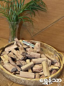 Shwe Nathar_အိန္ဒိယ နံ့သာဖြူ