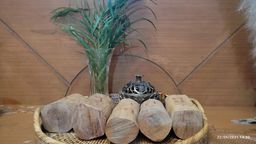 Shwe Nathar_အိန္ဒိယ နံ့သာဖြူ