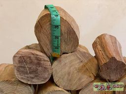 Shwe Nathar_အိန္ဒိယ နံ့သာဖြူ