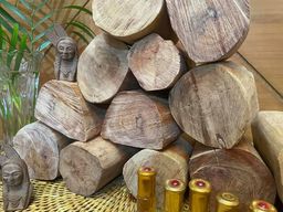 Shwe Nathar_အိန္ဒိယ နံ့သာဖြူ