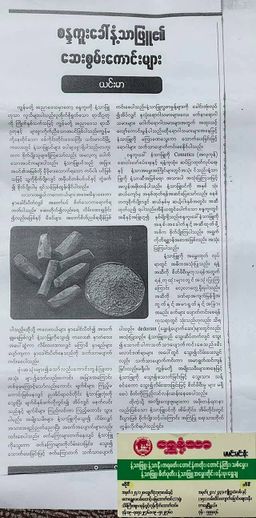 Shwe Nathar_အိန္ဒိယ နံ့သာဖြူ