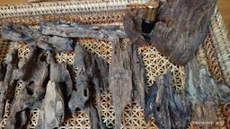 Shwe Nathar_သစ်မွှေး 