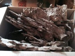 Shwe Nathar_သစ်မွှေး 