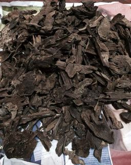 Shwe Nathar_သစ်မွှေး 