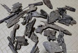 Shwe Nathar_သစ်မွှေး 