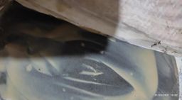 Shwe Nathar_ကရမက် 