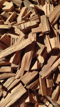 Shwe Nathar_အိန္ဒိယ နံ့သာဖြူ