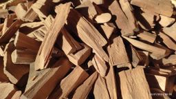 Shwe Nathar_အိန္ဒိယ နံ့သာဖြူ