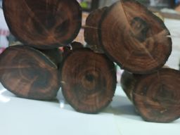 Shwe Nathar_အိန္ဒိယ နံ့သာနီ 