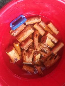 Shwe Nathar_သြစတေးလျ တောင်နံကတိုး