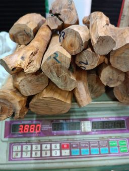 Shwe Nathar_သြစတေးလျ တောင်နံကတိုး