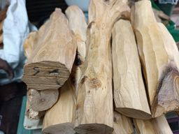 Shwe Nathar_သြစတေးလျ တောင်နံကတိုး