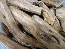 Shwe Nathar_သြစတေးလျ တောင်နံကတိုး