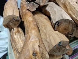 Shwe Nathar_သြစတေးလျ တောင်နံကတိုး