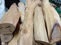 Shwe Nathar_သြစတေးလျ တောင်နံကတိုး