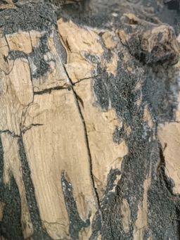 Shwe Nathar_ကရမက် 