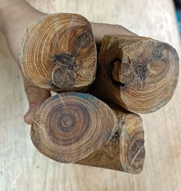 Shwe Nathar_သြစတေးလျ တောင်နံကတိုး