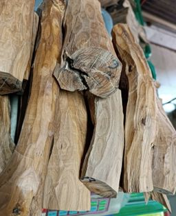 Shwe Nathar_သြစတေးလျ တောင်နံကတိုး