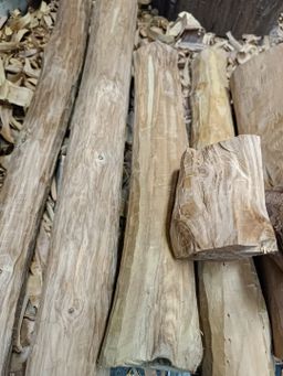 Shwe Nathar_အိန္ဒိယ နံ့သာဖြူ