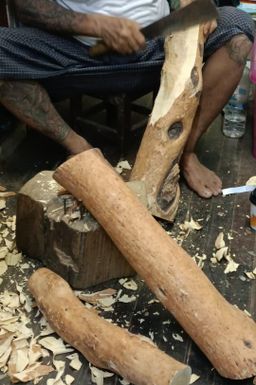 Shwe Nathar_အိန္ဒိယ နံ့သာဖြူ